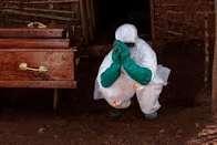 Response Intensifies in Eastern DRC as Bundibugyo Ebola Outbreak Spreads