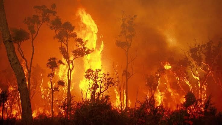 Is Nature Angry?