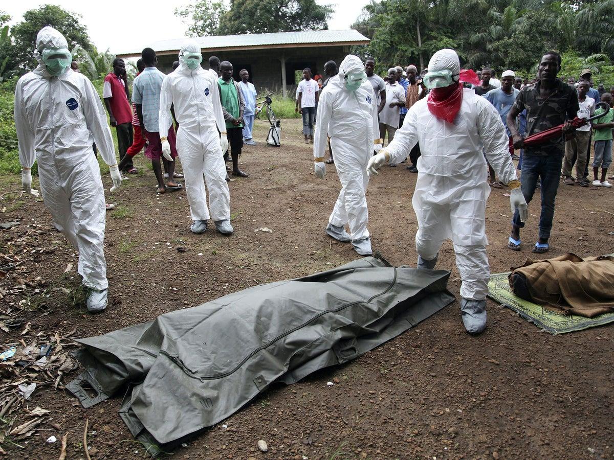 Ebola : une menace persistante pour la santé mondiale  Petite introduction :