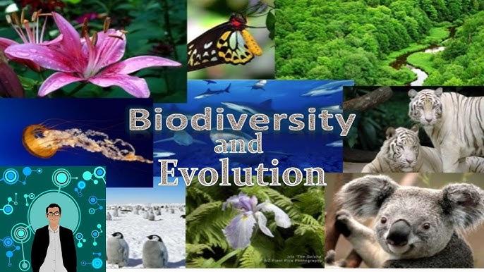La mutation génétique : source de diversité biologique et d’évolution