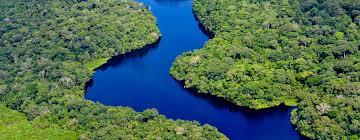 Why Is the Amazon Considered One of the Most Remarkable Biomes on Earth?