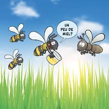 Bees: Smart and Essential Insects