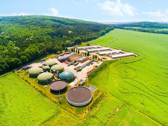 La biomasse : une source d’énergie renouvelable