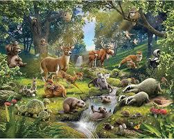 Animal Kingdom (Kingdom Animalia)