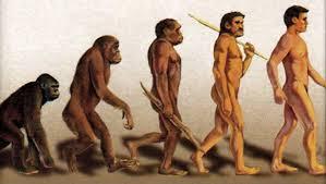 The Theory of Darwin (Theory of Evolution)