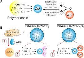 A Breakthrough in Chemistry: Scientists Develop a New Material That Can Capture Carbon Dioxide from the Air