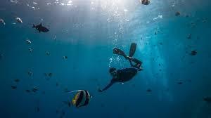 The Oceans: Vital for Climate, Life, and Human Survival