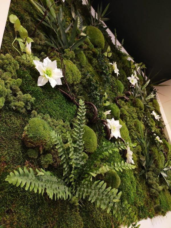Kingdom Plantae (Plant Kingdom)